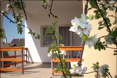 奥巴曹洛克Abádi Karmazsin ház的门廊,两长椅和白色的鲜花