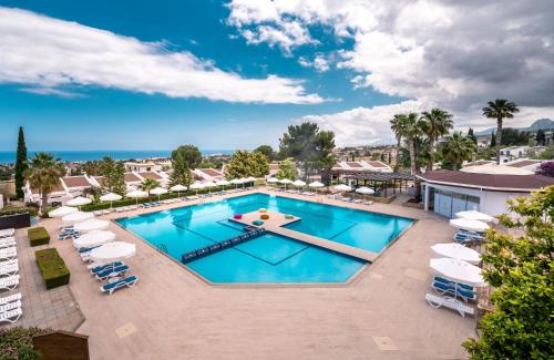 凯里尼亚橄榄树酒店的享有带躺椅和遮阳伞的游泳池的顶部景致