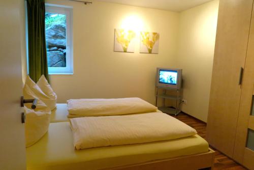 布兰德Alpina Central的一间卧室配有两张床和电视。