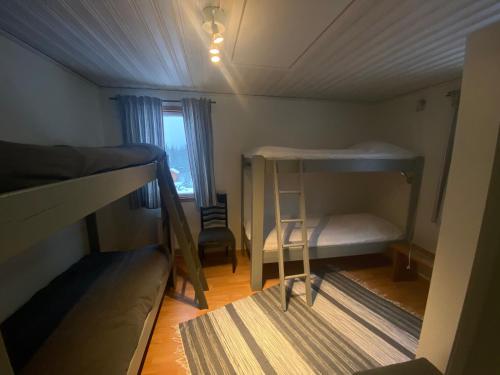 伊德勒Fjällgården Grövelsjön Vandrarhemsrum Töfsingdalen的小房间设有两张双层床和窗户