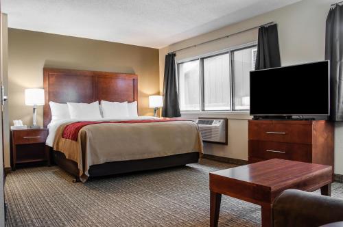 迪金森狄金森康福特茵酒店的配有一张床和一台平面电视的酒店客房