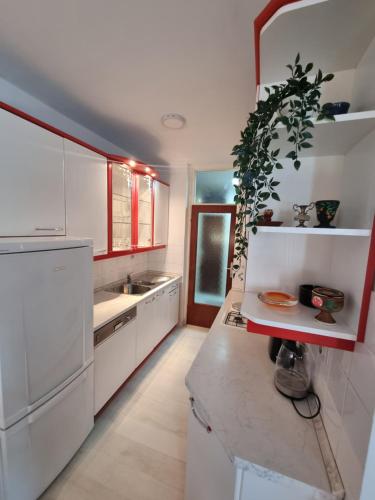 希贝尼克Drago Apartman的厨房配有白色橱柜和台面上的植物