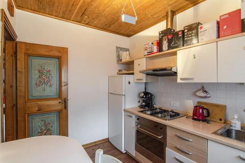 圣维托-迪卡多雷Estate in montagna的厨房配有炉灶和白色冰箱。