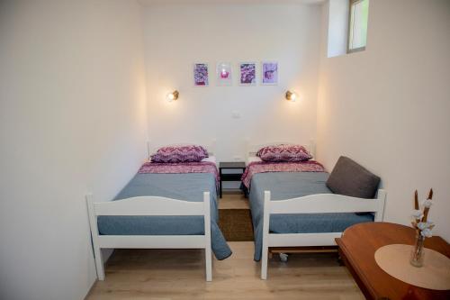 布耶Hortensia的小房间设有两张床和椅子