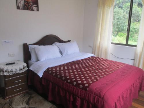 巴尼奥斯CASA MARTIN en Baños de Agua Santa的一间卧室配有一张带红色毯子的床和窗户。