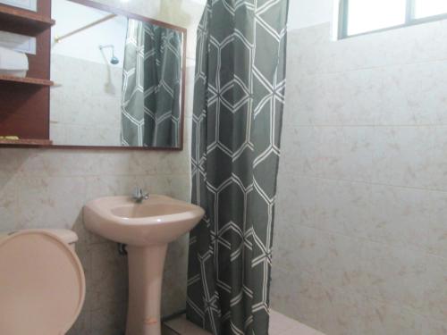 巴尼奥斯CASA MARTIN en Baños de Agua Santa的一间带水槽、卫生间和镜子的浴室