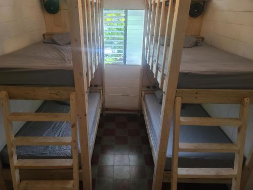 埃尔蒙特Hammock plantation的小型客房设有两张双层床和窗户。