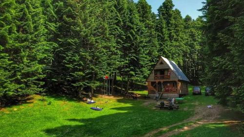 安布罗劳里Cottage Sochi的森林中间的小小屋