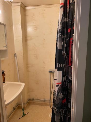 斯特兰奈斯Flygeln的浴室设有淋浴帘,位于水槽旁