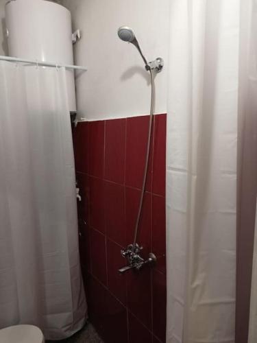瓦尔纳Welcome to Daisy sunny place!的浴室设有红色和白色的墙壁,配有淋浴。