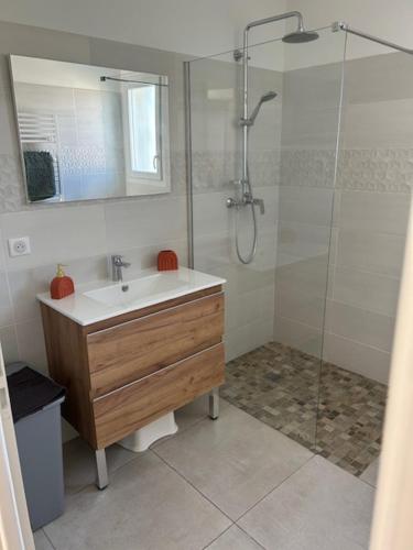 瓦隆蓬达克vacances en Ardéche "maison Chauvet"的一间带水槽和玻璃门淋浴的浴室