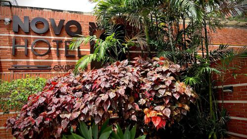 加拉加斯Novo Hotel的建筑前的植物群
