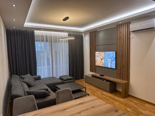 乌尔齐尼Enigma Apartment的带沙发和平面电视的客厅