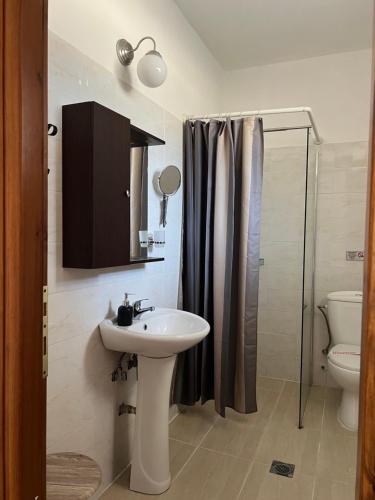 阿莫利亚尼岛Liani Ammos的一间带水槽、淋浴和卫生间的浴室