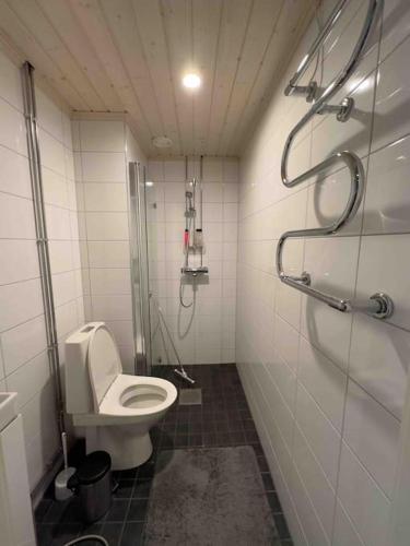拉彭兰塔Moderni huoneisto loistavalla paikalla - 65’Smart TV, nopea netti的一间带卫生间和淋浴的浴室