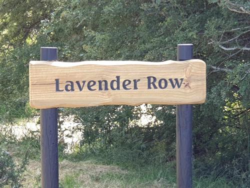 Lavender Row Farm的上面有薰衣草字的木头标志