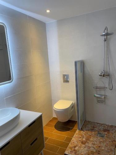 勒迪亚芒Habitation gens bois的一间带卫生间和水槽的浴室