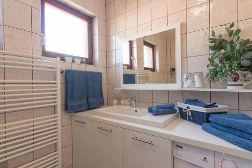 维索科Apartment ADA的一间带水槽和镜子的浴室