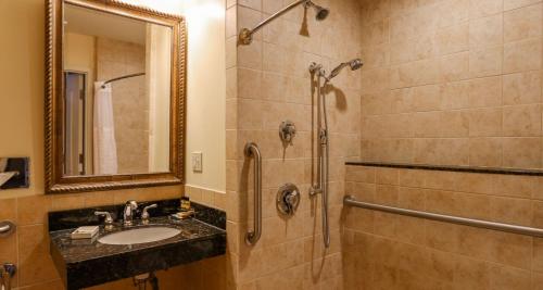 彭延葡萄园贝斯特韦斯特PLUS酒店 的一间带水槽和淋浴的浴室