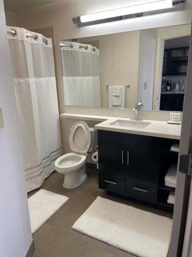 休斯顿Luxurious Escape FREE PARKING的一间带水槽、卫生间和镜子的浴室