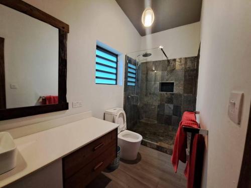格兰贝伊Tropical 3-bedrooms Coastal Residence Creolia的带淋浴、卫生间和盥洗盆的浴室
