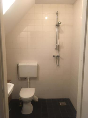 阿姆斯特丹Ground Floor Apartment Westerpark的一间带卫生间和水槽的小浴室