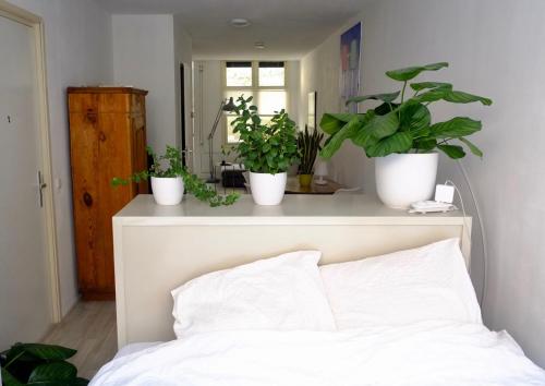 阿姆斯特丹Ground Floor Apartment Westerpark的卧室,床上方的架子上放着盆栽植物
