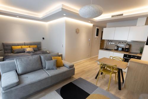 布达佩斯K46 Residence的一间带灰色沙发的客厅和一间厨房