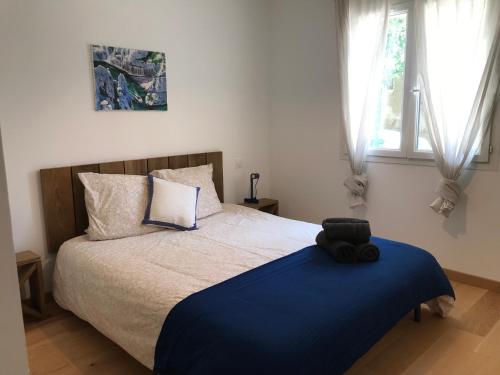 贝勒加德Villa de la Tour的一间卧室配有一张带蓝色毯子的大床