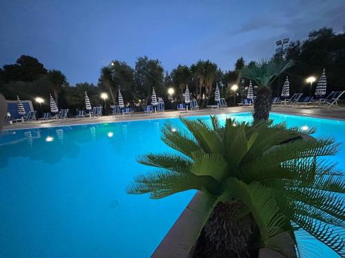 维耶斯泰Appartamenti Vacanze Minervino的一座大型游泳池,前面有棕榈树
