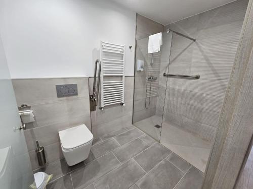 圣地亚哥－德孔波斯特拉Inicia AVIO Apartamentos的一间带卫生间和淋浴的浴室