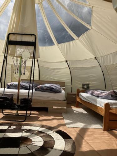 NeerpeltNatuur-like Glamping in Bosland的帐篷内带两张床的房间