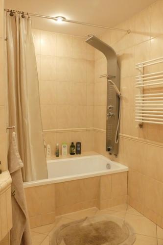 格丁尼亚Apartament Bilard nad Bałtykiem的设有带浴缸和淋浴的浴室。