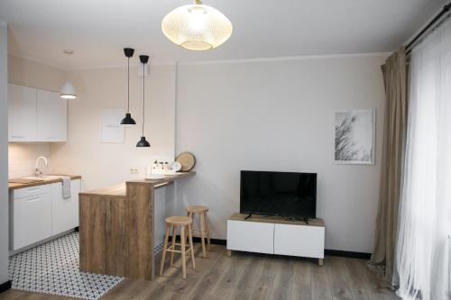 卢布林Apartament Szczerbowskiego B的厨房以及带电视和柜台的起居室。