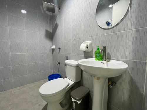 塔里萨伊HRS APARTELLE的一间带卫生间、水槽和镜子的浴室