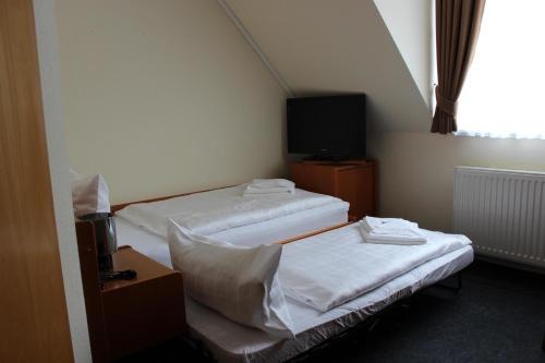 BerggiesshübelHotel Sächsisches Haus的带电视的小型客房中的两张床