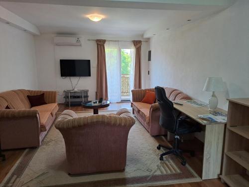 采蒂涅Apartments Mirković的客厅配有沙发、桌子和书桌