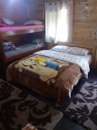 瓦勒博内Guesthouse Dioni的一间卧室配有一张床和双层床,铺有地毯。