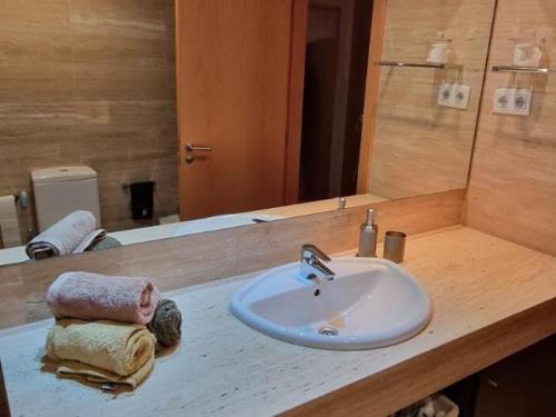 萨瓦德尔Homing Sabadell 73的浴室的柜台设有水槽和镜子