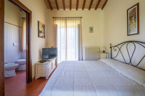 佩鲁贾Il Castellaro Country House的一间带大床的卧室和一间浴室