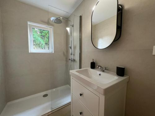 BilstainMaison Léon的浴室配有盥洗盆、镜子和浴缸