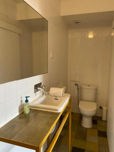 阿尔热祖尔Amazigh Hostel & Suites的一间带水槽和卫生间的浴室
