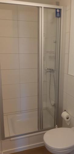 普福尔茨海姆Monteurzimmer-Apartment Scholl Pforzheim的浴室设有玻璃淋浴间和卫生间