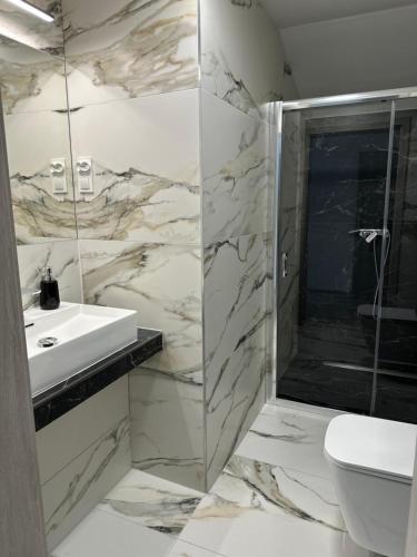 维斯瓦Roomflacja的一间带水槽、淋浴和卫生间的浴室