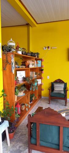 阿尔特杜尚Casa da Vila - Hospedaria - 3 min do centrinho de Alter的一间黄色墙壁和植物架的房间