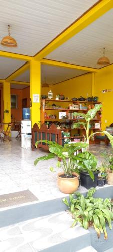 阿尔特杜尚Casa da Vila - Hospedaria - 3 min do centrinho de Alter的黄色的房间,有一堆植物