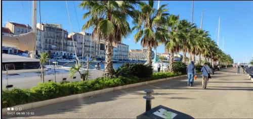 塞特港Appartement Sète proche centre ville的几个人沿着一条种有棕榈树的路边散步