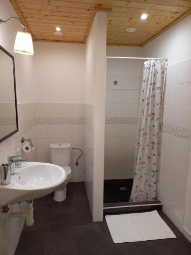 奥斯特拉维采河畔弗里德兰特penzion BABÍ VRCH的浴室配有卫生间、盥洗盆和淋浴。