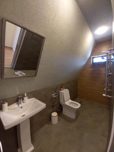 盖贝莱Villa NR in Gabala的一间带水槽和卫生间的浴室
