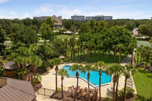 奥兰多Holiday Inn Orlando International Airport, an IHG Hotel的棕榈树泳池的空中景致